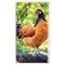 Chickens | 2026-2027 3.5 x 6.5 Inch Two Year Monthly Pocket Planner Calendar